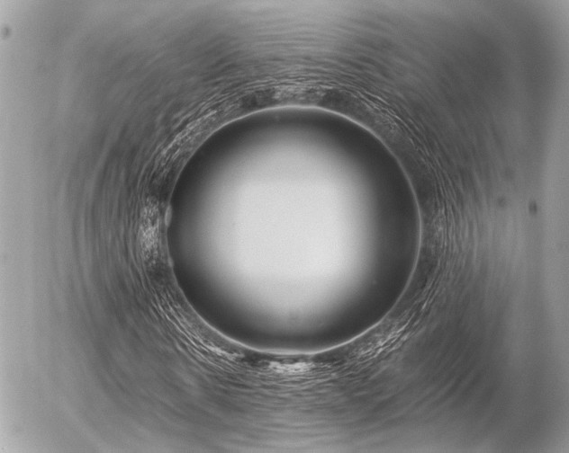 X0000056320914200508261151