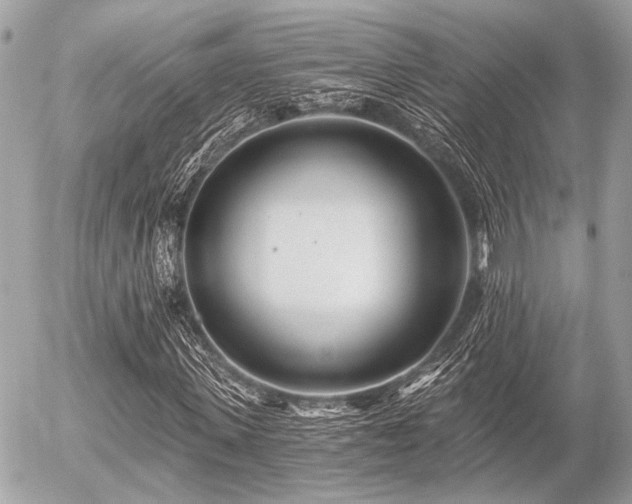 X0000056320915200508261151