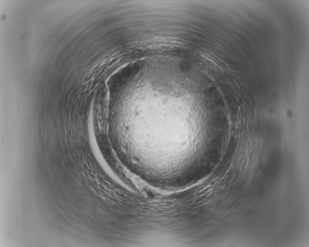 X0000056320917200508261151