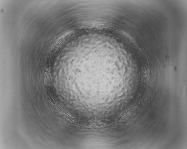 X0000056320918200508261151