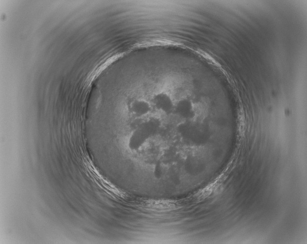 X0000056320921200508261151