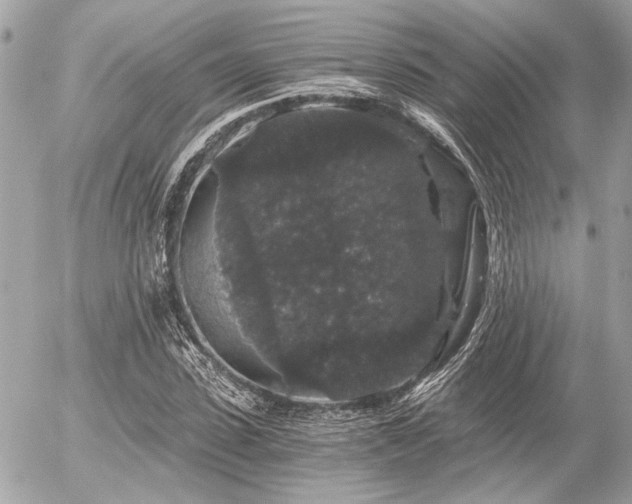 X0000056320923200508261151