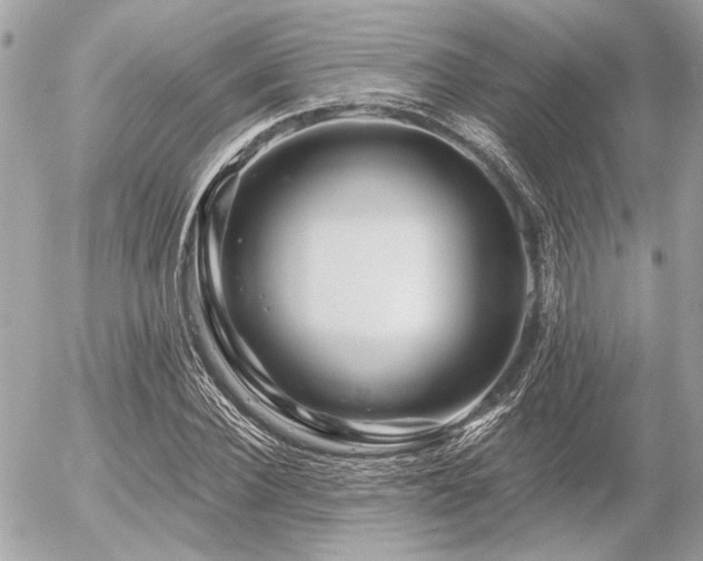 X0000056320924200508261151