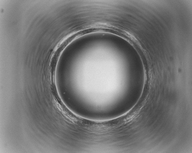 X0000056320931200508261151