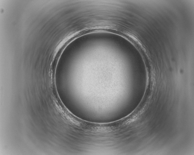 X0000056320933200508261151