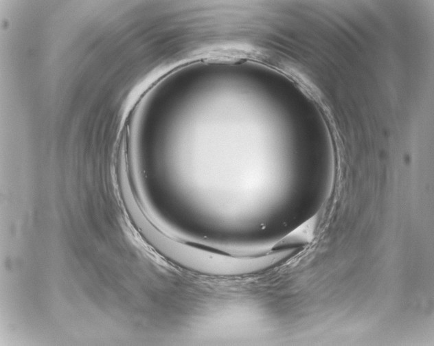 X0000056320960200508261152