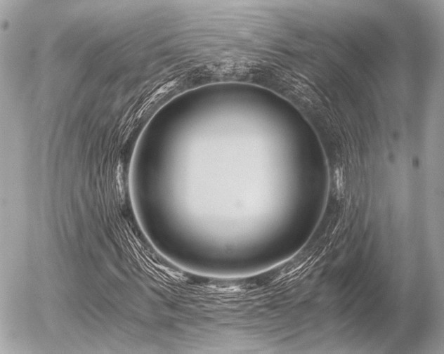 X0000056320963200508261151