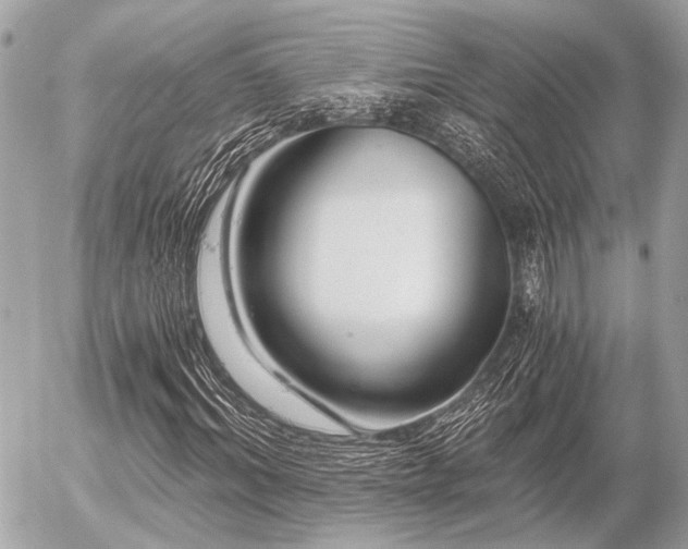 X0000056320964200508261151