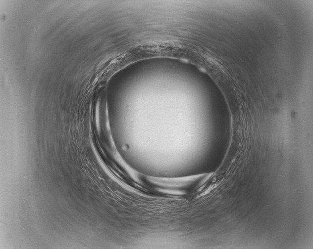 X0000056320965200508261151