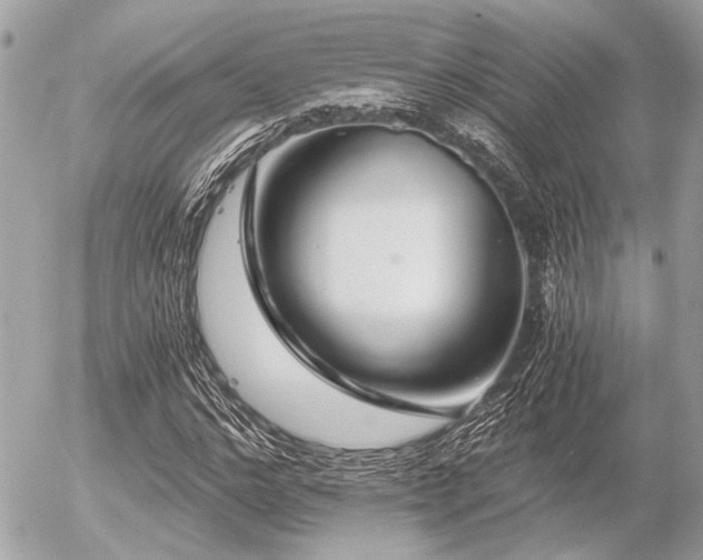 X0000056320968200508261151