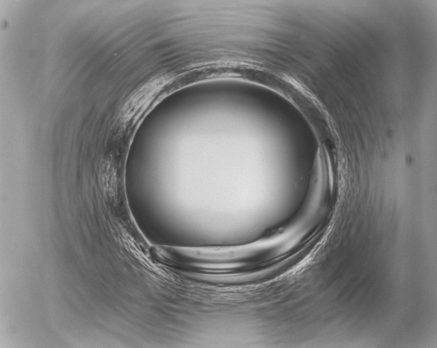 X0000056320969200508261151
