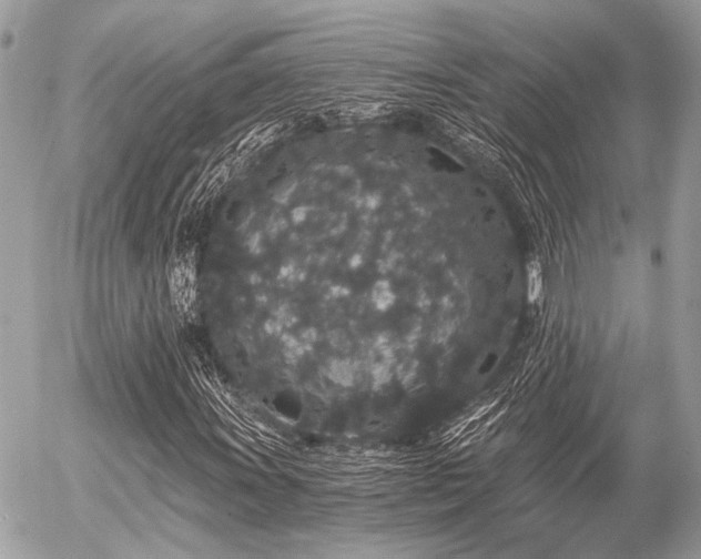 X0000056321011200508261149