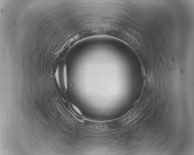 X0000056321012200508261149