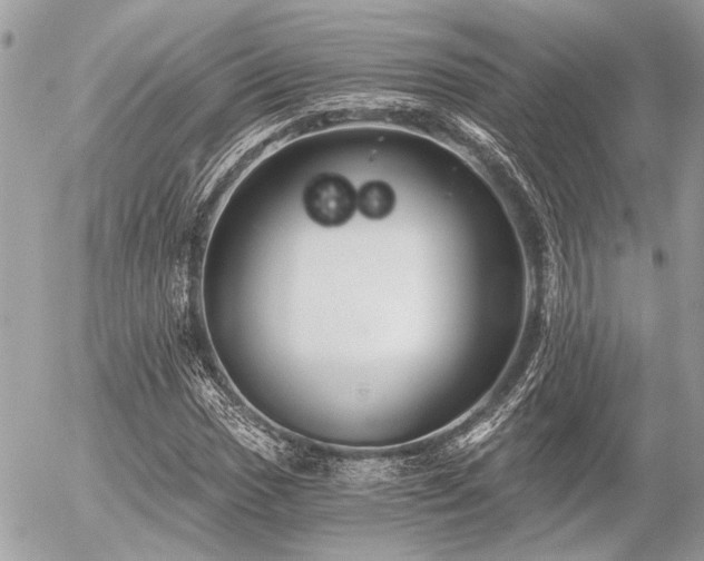 X0000056321017200508261149