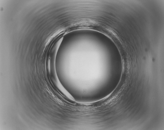 X0000056321018200508261149