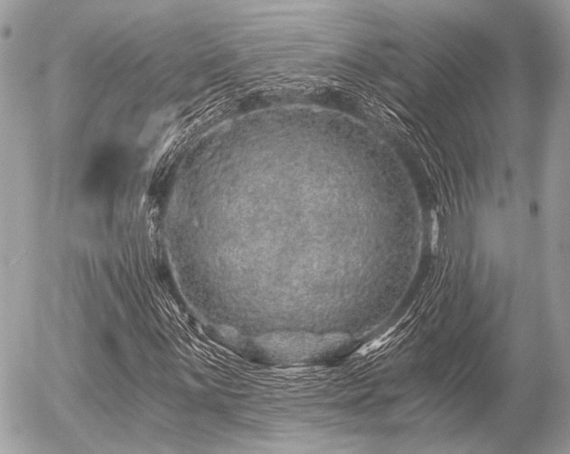 X0000056321059200508261149