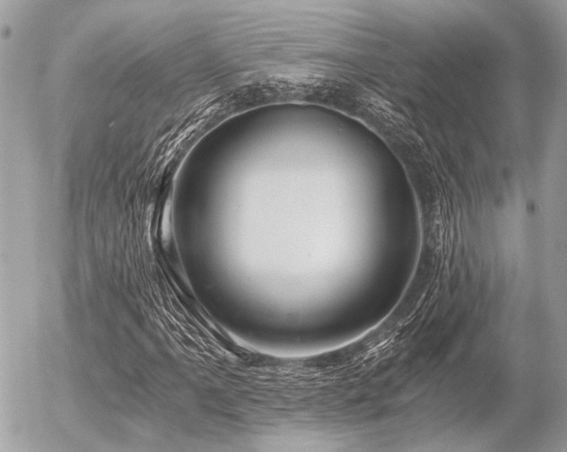 X0000056321061200508261149