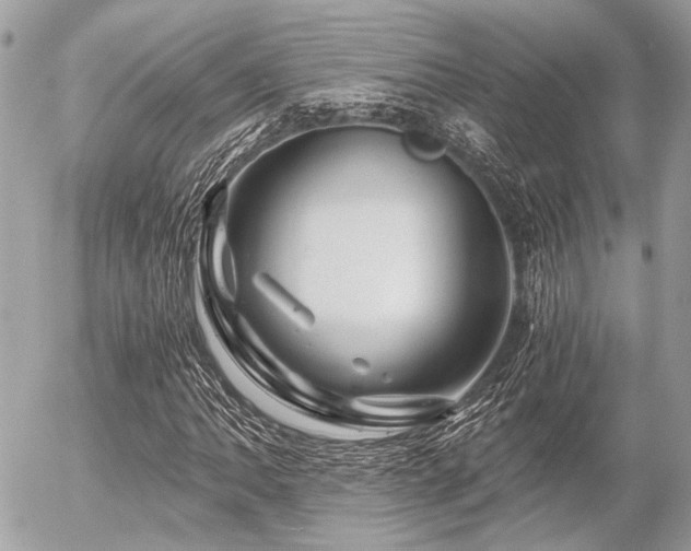 X0000056321062200508261149