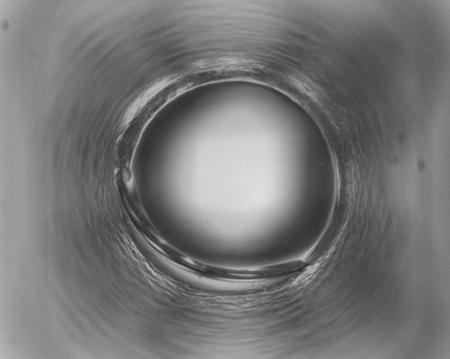 X0000056321066200508261149
