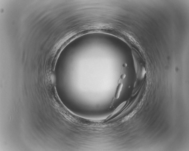 X0000056321073200508261149