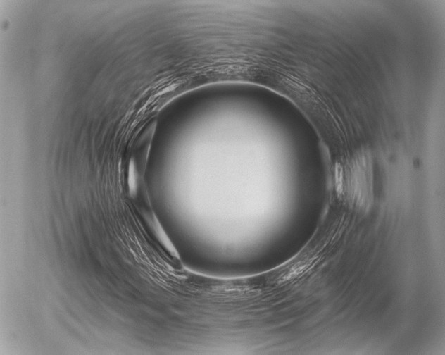 X0000056321107200508261148