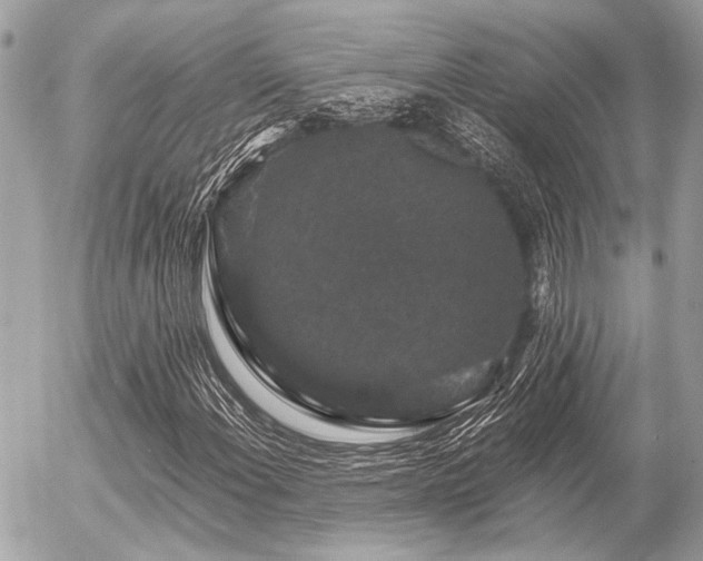 X0000056321108200508261148