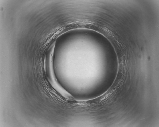 X0000056321110200508261148