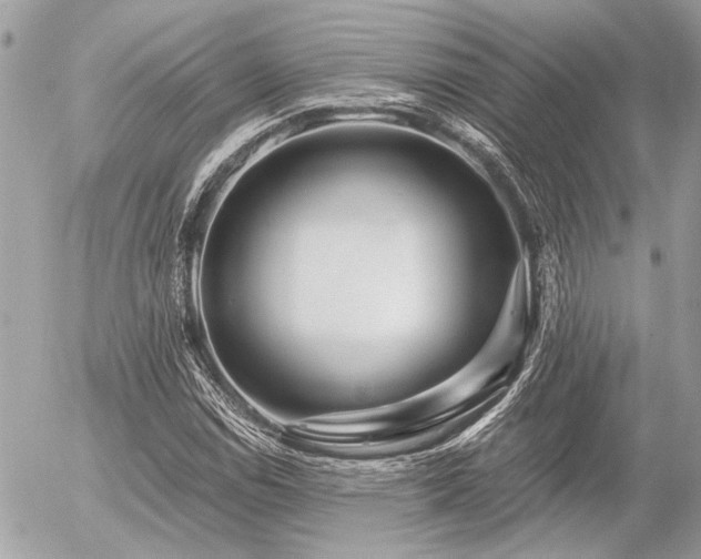 X0000056321114200508261148