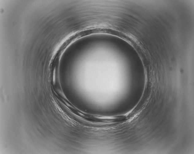 X0000056321118200508261148