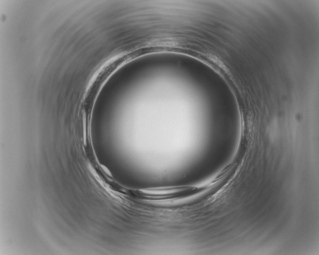 X0000056321123200508261148