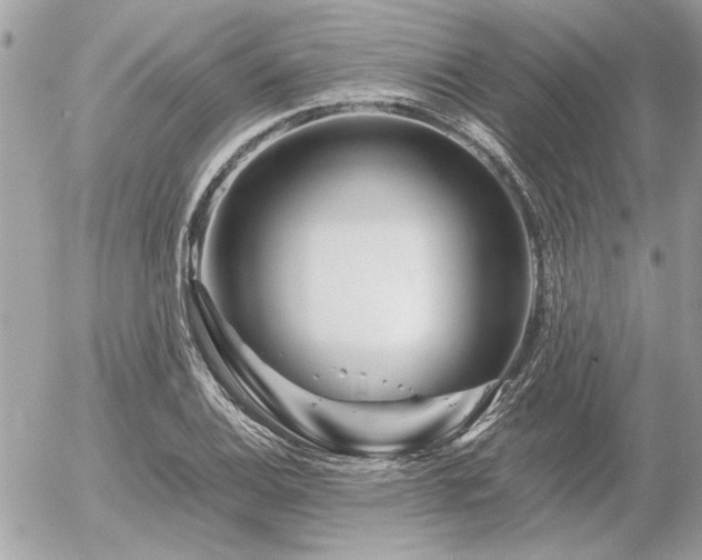 X0000056321124200508261148