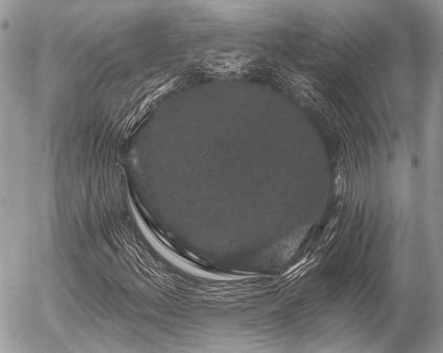 X0000056321156200508261148