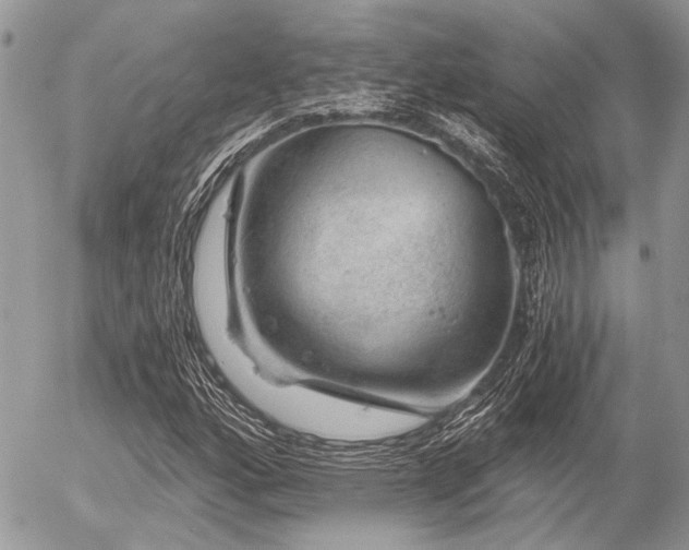 X0000056321160200508261147