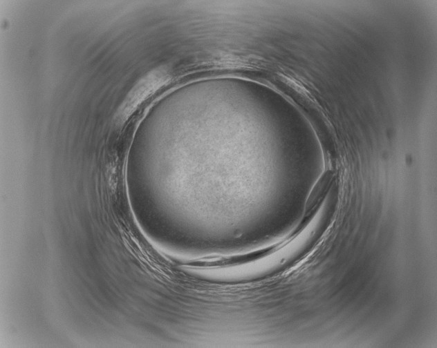 X0000056321163200508261147