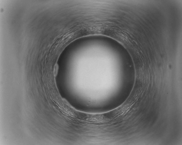 X0000056321201200508261146