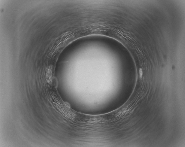 X0000056321203200508261146