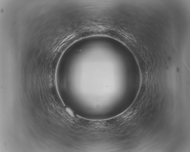X0000056321205200508261146