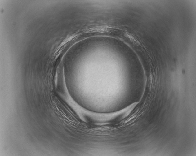 X0000056321206200508261146