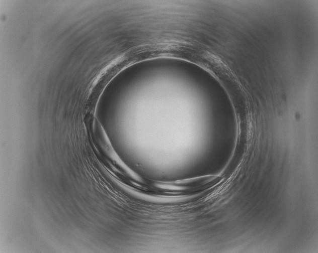 X0000056321210200508261146