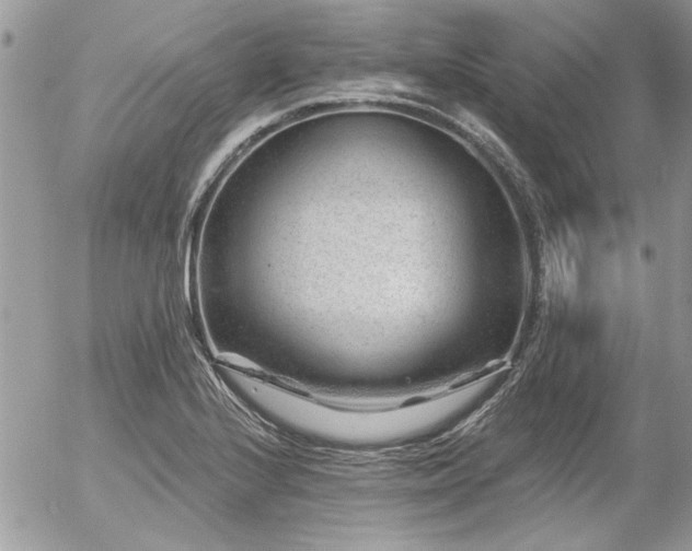 X0000056321224200508261146