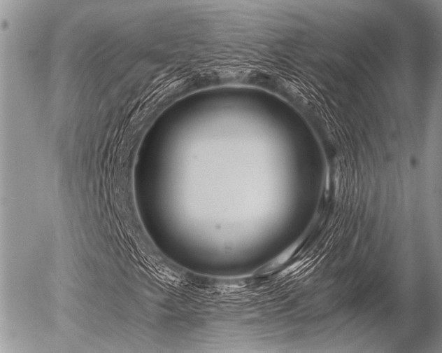 X0000056321249200508261146