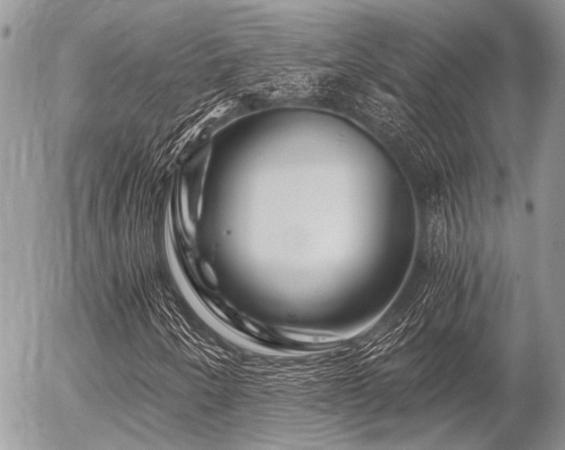 X0000056321250200508261146