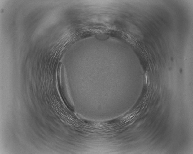X0000056321251200508261146