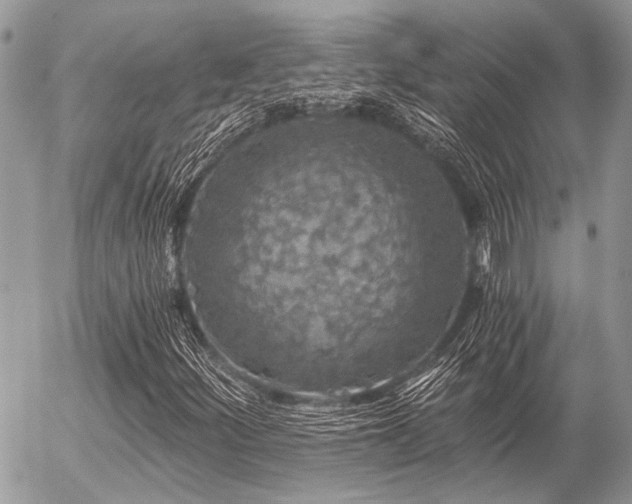 X0000056321252200508261146