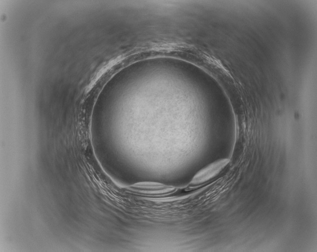 X0000056321256200508261146