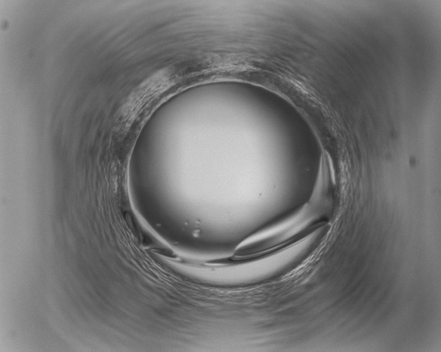 X0000056321257200508261146