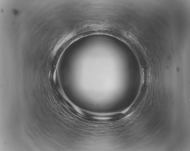 X0000056321261200508261146