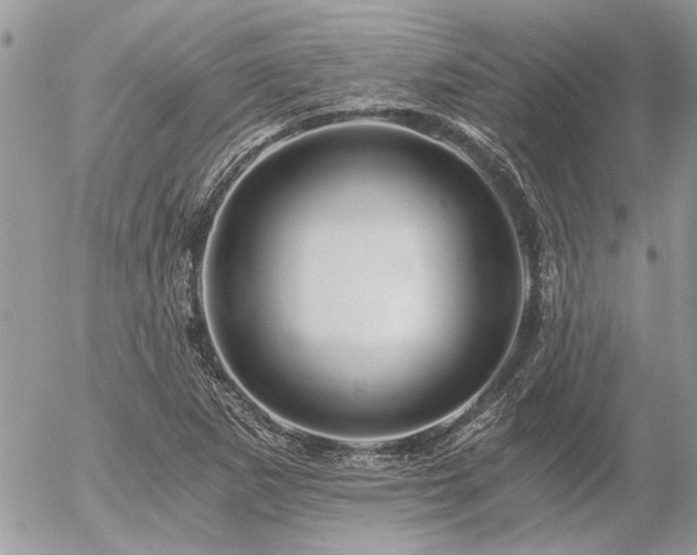 X0000056321265200508261146