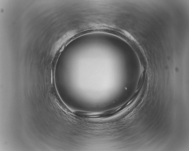 X0000056321269200508261146