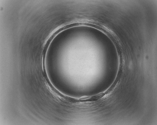 X0000056321272200508261146